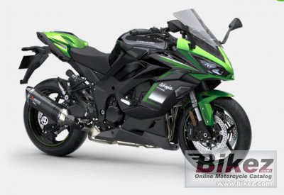 Kawasaki ninja shop 1000 2021